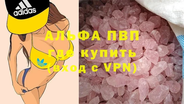 мяу мяу мука Баксан