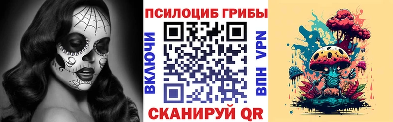 ссылка на мегу tor  Волгоград  Псилоцибиновые грибы GOLDEN TEACHER 